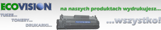 http://ecovision.com.pl/